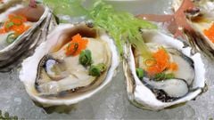 Hàu sống gỏi mù tạt