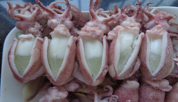 Mực Trứng