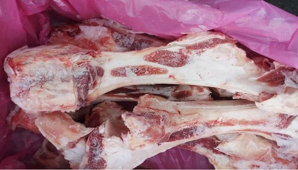 Xương Ống Bò