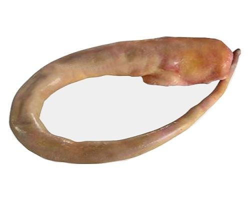 Đuôi Trâu Ấn