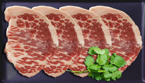 Gù Bò