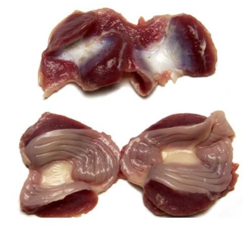 Mề Gà