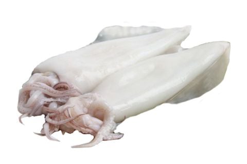 Mực ống làm sạch
