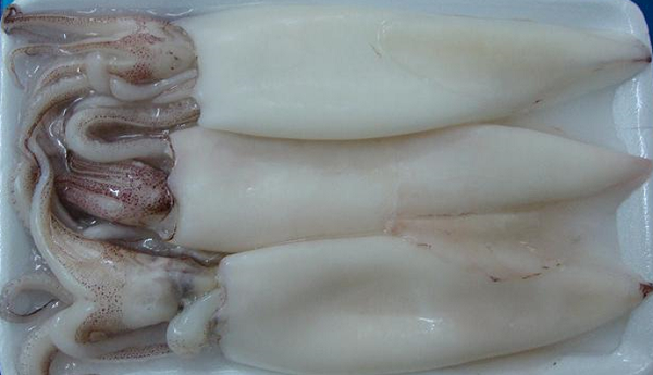Mực ống làm sạch