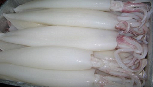 Mực ống làm sạch