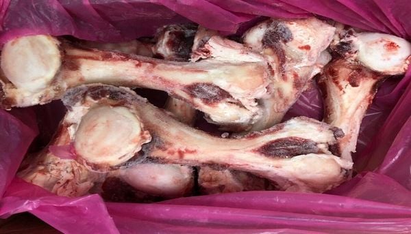 Xương Ống Bò