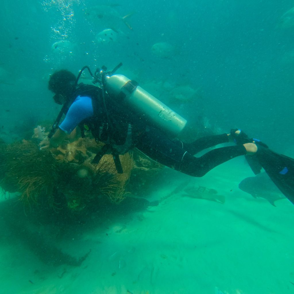  Scubadiving - Gói tiêu chuẩn 