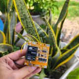  Bộ vỏ mạch pin chân dw ngắn 