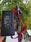  Sạc hệ bình 4s 12v - 8s 24v 5a 10a 
