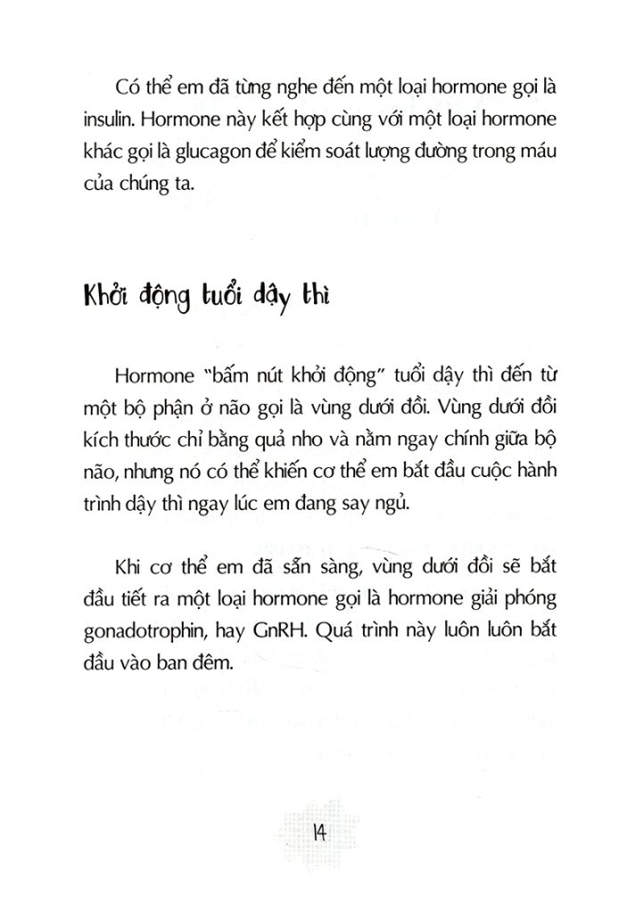 Tuổi Dậy Thì - Từ “Cậu Bé” Đến “Anh Chàng