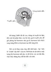 Tuổi Dậy Thì - Từ “Cậu Bé” Đến “Anh Chàng