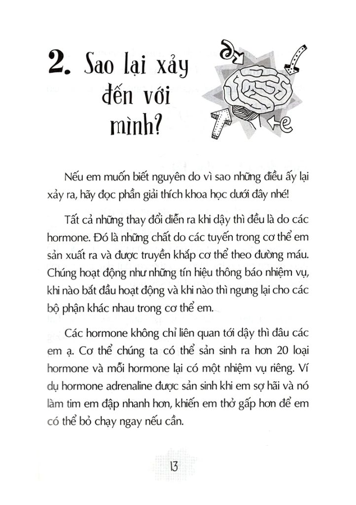 Tuổi Dậy Thì - Từ “Cậu Bé” Đến “Anh Chàng