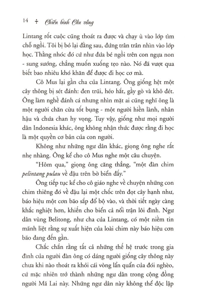 Chiến Binh Cầu Vồng (Tái Bản 2020)