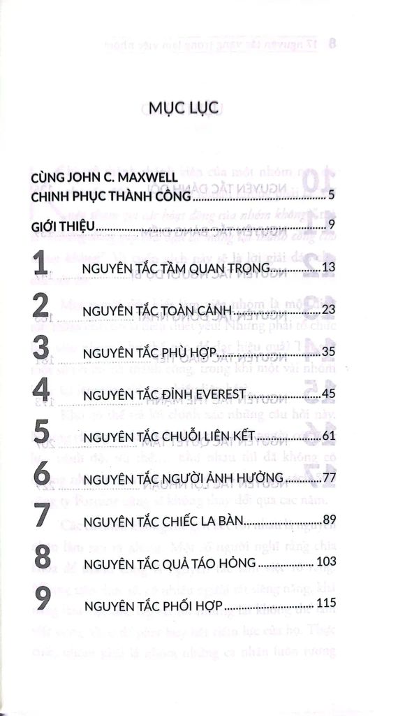 17 Nguyên Tắc Vàng Trong Làm Việc Nhóm (Tái Bản 2023)