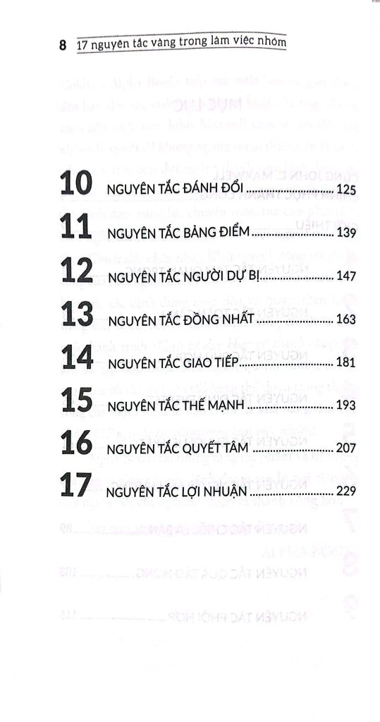 17 Nguyên Tắc Vàng Trong Làm Việc Nhóm (Tái Bản 2023)