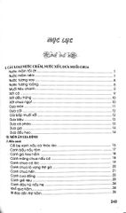 Món Ăn Việt Nam Gia Đình Và Đãi Tiệc