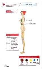 52 Thế Yoga Hiệu Quả Và Dễ Tập (Tái Bản 2024)
