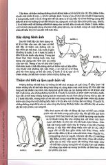 Hướng Dẫn Vẽ 100 Loài Động Vật Nuôi