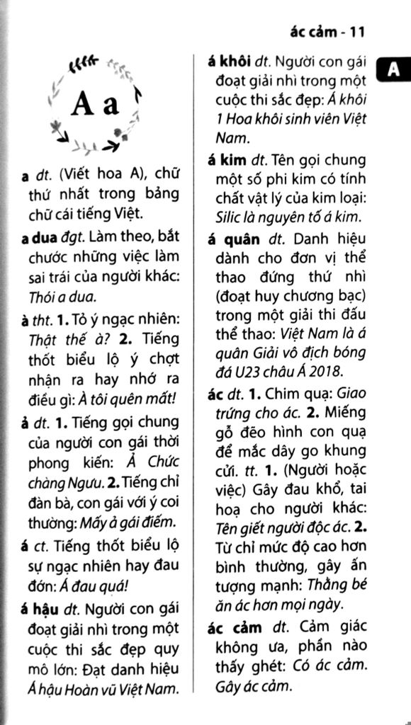 Từ Điển Tiếng Việt Dành Cho Học Sinh - Khổ Nhỏ