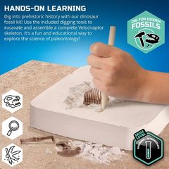 Đồ Chơi Giáo Dục STEM 1423004881 - Dinosaur Fossil Dig - Bộ Khảo Cổ Truy Tìm Xương Khủng Long Velociraptor