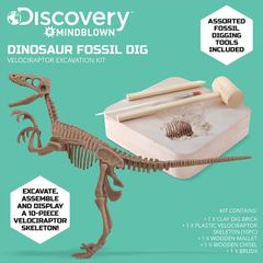 Đồ Chơi Giáo Dục STEM 1423004881 - Dinosaur Fossil Dig - Bộ Khảo Cổ Truy Tìm Xương Khủng Long Velociraptor