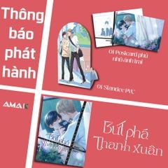 Bứt Phá Thanh Xuân - Tặng Kèm Bìa Áo + Postcard Nhũ Ánh Trai + Standee PVC