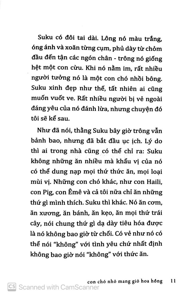 Con Chó Nhỏ Mang Giỏ Hoa Hồng (Tái Bản 2020)
