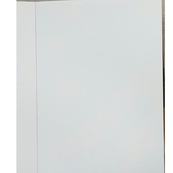 Tập 15 tờ giấy A4 200gsm vẽ tranh màu nước acrylic, vẽ phác thảo Master Art cao cấp