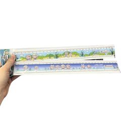 Thước Nhựa Kẻ Học Sinh 30cm Master Art Sibbil & Flower