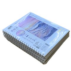Sổ vẽ phác thảo Depai 100gsm 45 Tờ - Gáy lò xo A4 - Sổ vẽ không kị tẩy 100gsm