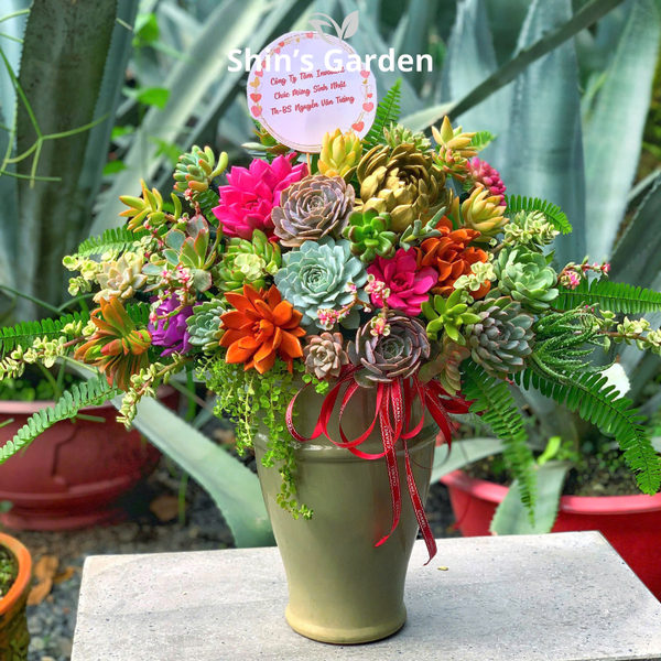  Tiểu cảnh sen đá | SG00026 | Chậu sứ xanh | 20 - 30 cm | Sức sống, May mắn, Bền bỉ | Shin's Garden 