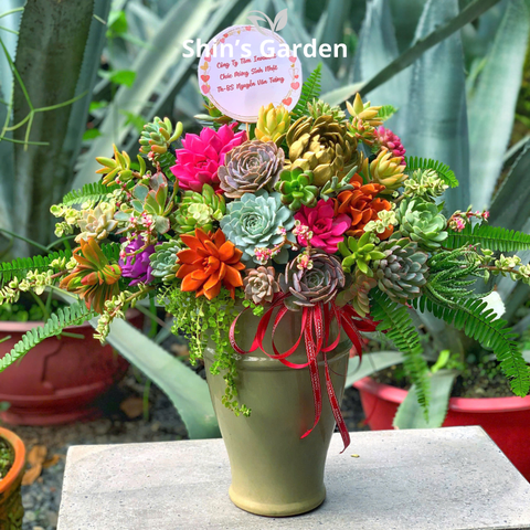  Tiểu cảnh sen đá | SG00026 | Chậu sứ xanh | 20 - 30 cm | Sức sống, May mắn, Bền bỉ | Shin's Garden 