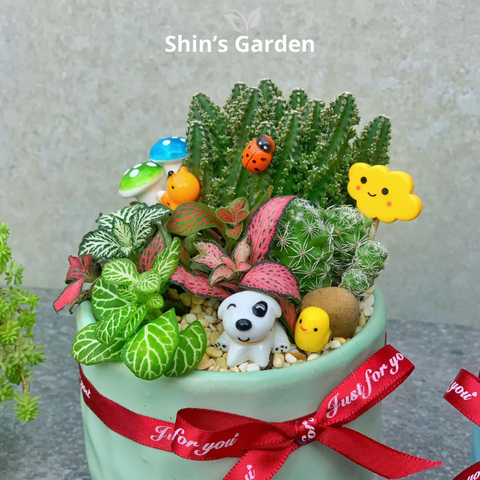  Tiểu cảnh sen đá, xương rồng | SG00040 | Chậu sứ xanh lá cây | 10 - 15 cm | Kiên cường, Bền bỉ, Tài lộc | Shin's Garden 