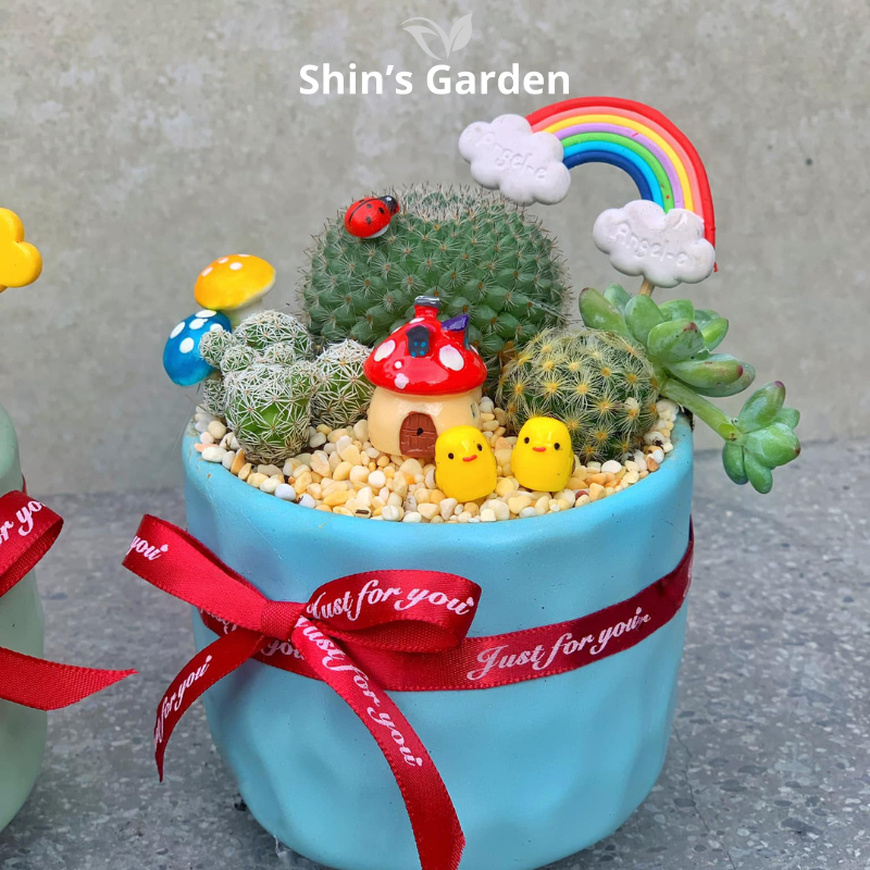 Tiểu cảnh sen đá, xương rồng | SG00038 | Chậu sứ xanh | 10 - 15 cm | Kiên cường, Bền bỉ, Tài lộc | Shin's Garden
