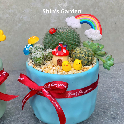  Tiểu cảnh sen đá, xương rồng | SG00038 | Chậu sứ xanh | 10 - 15 cm | Kiên cường, Bền bỉ, Tài lộc | Shin's Garden 