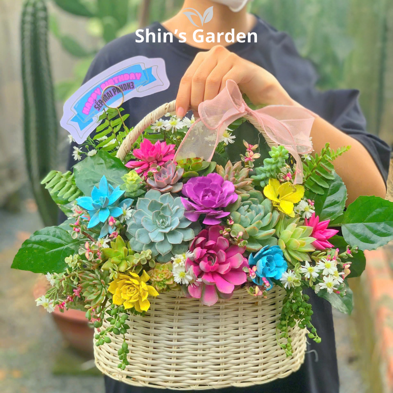 Tiểu cảnh sen đá | SG00025 | Giỏ hoa | 15 - 20 cm | Sức sống, May mắn, Bền bỉ | Shin's Garden
