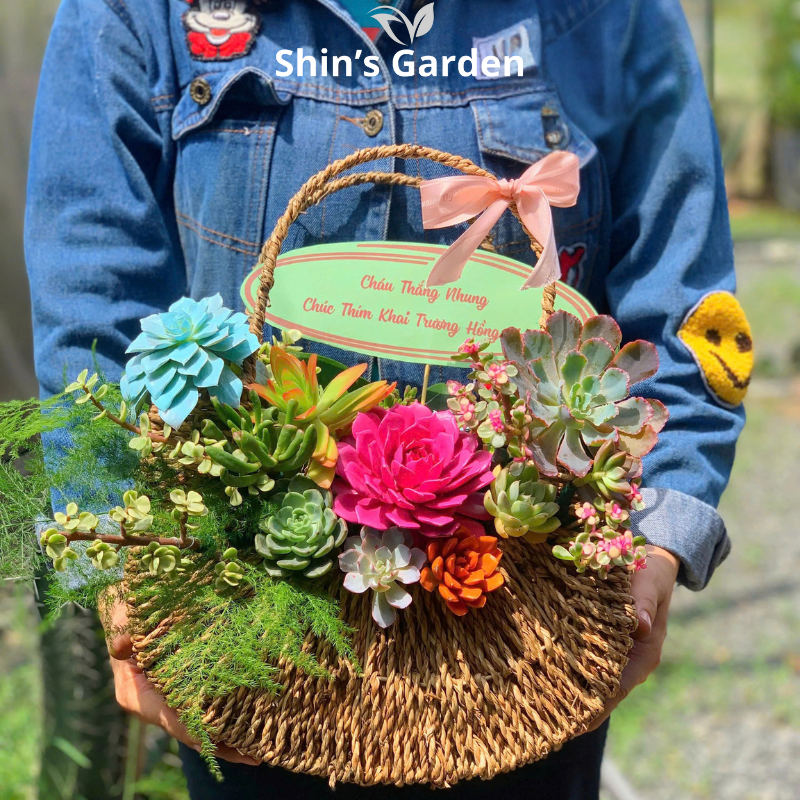 Tiểu cảnh sen đá | SG00012 | Giỏ hoa | 15-20cm | Quà tặng phong thủy | Shin's Garden