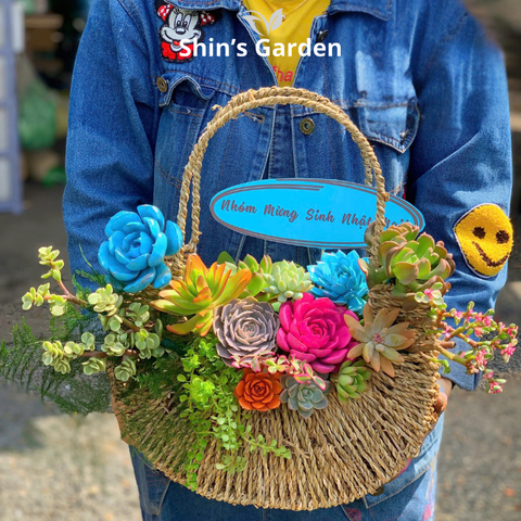  Tiểu cảnh sen đá | SG00019 | Giỏ hoa | 15-20cm | Quà tặng phong thủy | Shin's Garden 