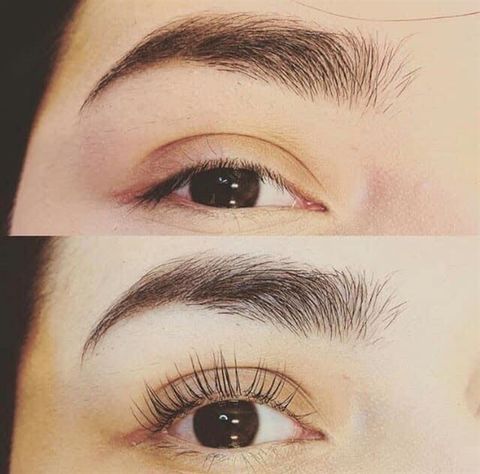 Kẹp Bấm Mi Shu Uemura Eyelash Curler