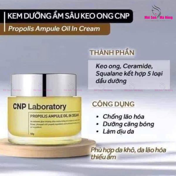 Kem Dưỡng Ẩm Phục Hồi Cao Cấp Chiết Xuất Keo Ong Dạng Dầu CNP Propolis Ampule Oil in Cream 50g