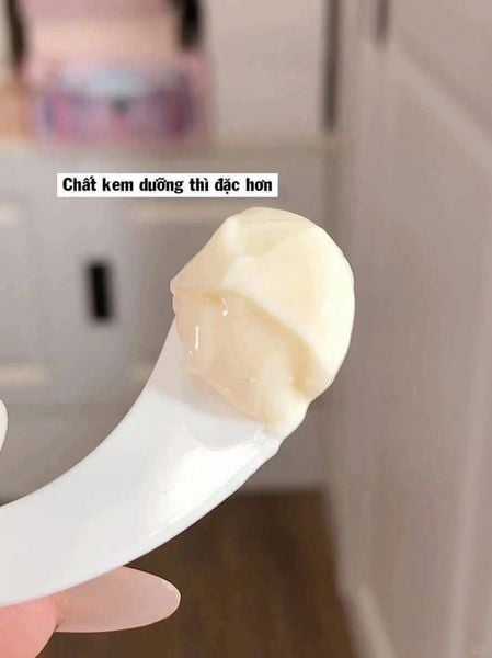 Kem Dưỡng 2 Ngăn, Chống Lão Hóa d'Alba White Truffle All In One Double Cream 70g (MẪU MỚI)