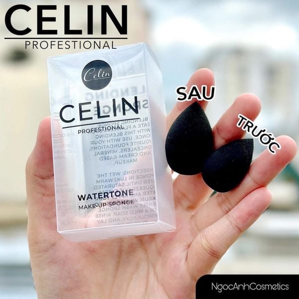 Mút tán nền Celin