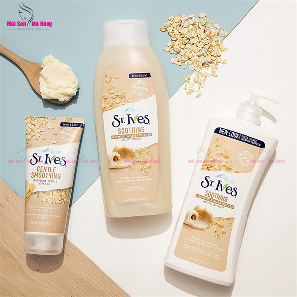 Sữa Dưỡng Thể ST.IVES Bơ Hạt Mỡ & Yến Mạch 621ml