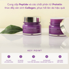 Kem Dưỡng Forencos Peptide Sáng Da, Giảm Nhăn Ban Đêm 50ml tím