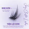 Lông mi cụm Tự Nhiên jary cluster lashes hộp nhựa 5 hàng C2