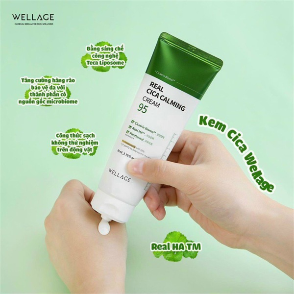 Kem Dưỡng Ẩm Và Hỗ Trợ Phục Hồi Da Wellage Real Cica Calming 95 Cream