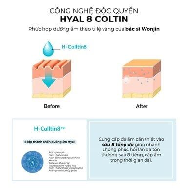 Mặt Nạ Wonjin Cấp Ẩm Cấp Tốc 30ml Instant Repair Hyal Moisture Solution