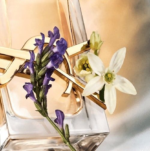 Nước hoa YSL Libre Eau De Parfum 7.5 ml