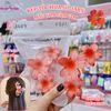KẸP TÓC HOA SỨ NHỰA JARY HAIR CLIP HC1 HC1.2