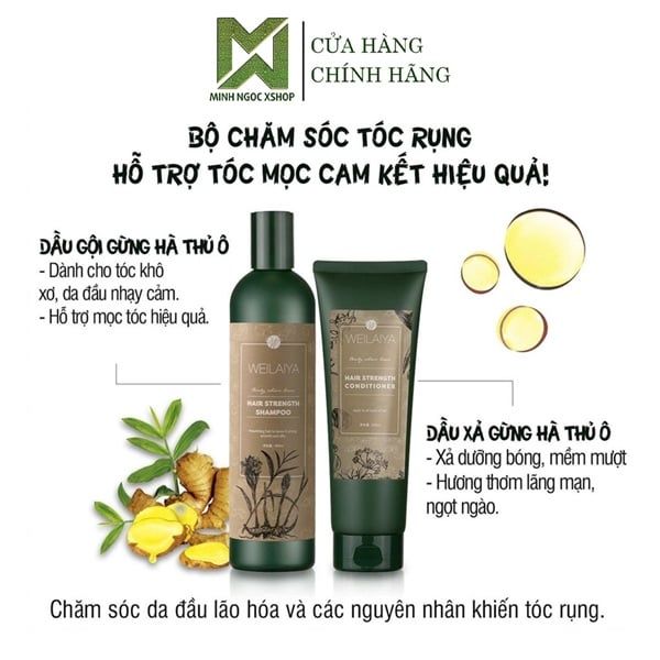 Bộ dầu gội xả gừng hà thủ ô WEILAIYA ZINGIBER OFFICINALE JUICE chống rụng kích mọc tóc 400ml + 250ml